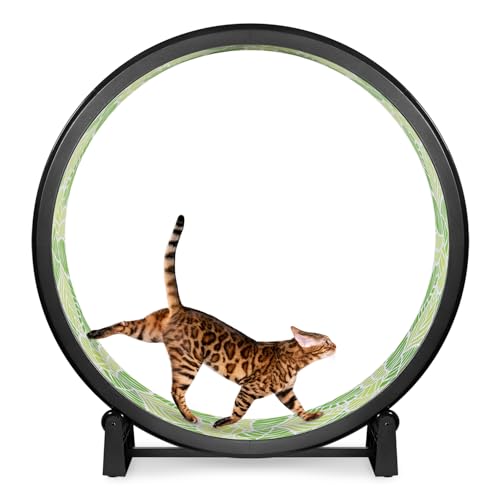 Black Wheel / Jungle Leaves Foam / Black Inline