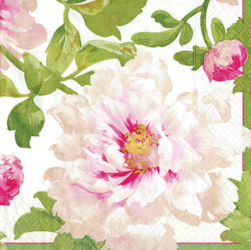 Premium Caspari 20-Pack Chloe Ivory Cocktail Napkins - Elegant Disposable Paper Napkins for Parties, Weddings & Dinner Events - Perfect for Cocktail Hours, Bridal Showers & Upscale Gatherings