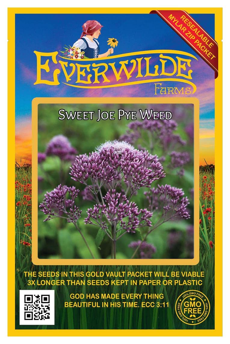 Everwilde Farms 800 Sweet Joe Pye Weed Native Wildflower Seeds - Gold Vault Seed Packet for Pollinator Gardens & Natural Landscaping
