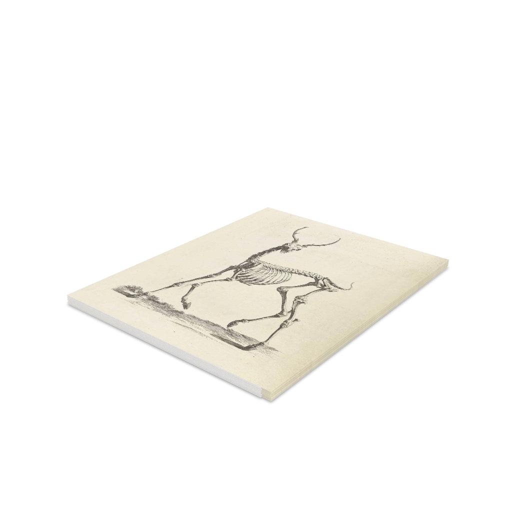Deer Skeleton Greeting Cards - 10 Pack Halloween Themed Blank Note Cards with Envelopes - Perfect for Spooky Party Invitations, Halloween Decorations, and Gothic Gift Giving