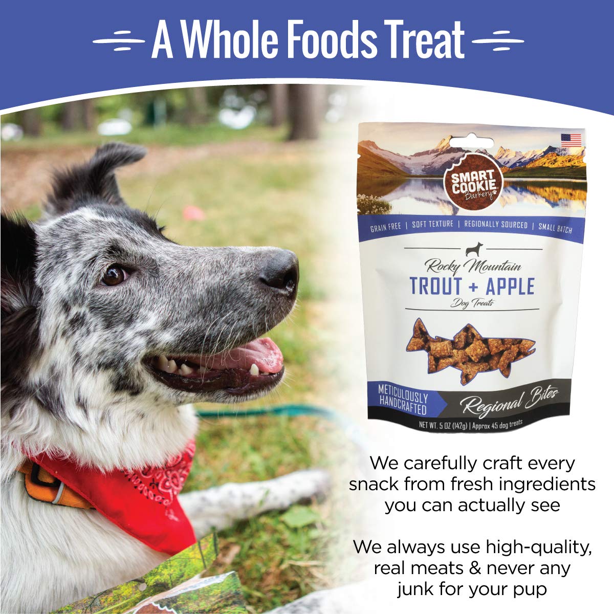 Smart Cookie All Natural Soft Dog Treats - Trout & Apple Flavor - Healthy Grain-Free Chewy Dog Snacks for Allergies & Sensitive Stomachs - Human-Grade USA Made - 5oz Bag - Perfect for Training Rewards & Digestive Health