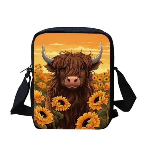 Highland Cow 2