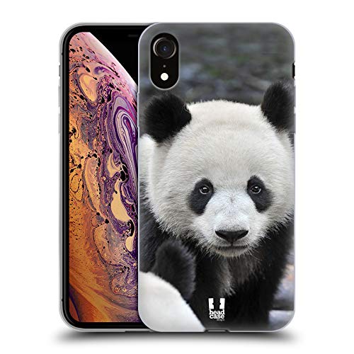 Close-Up Panda