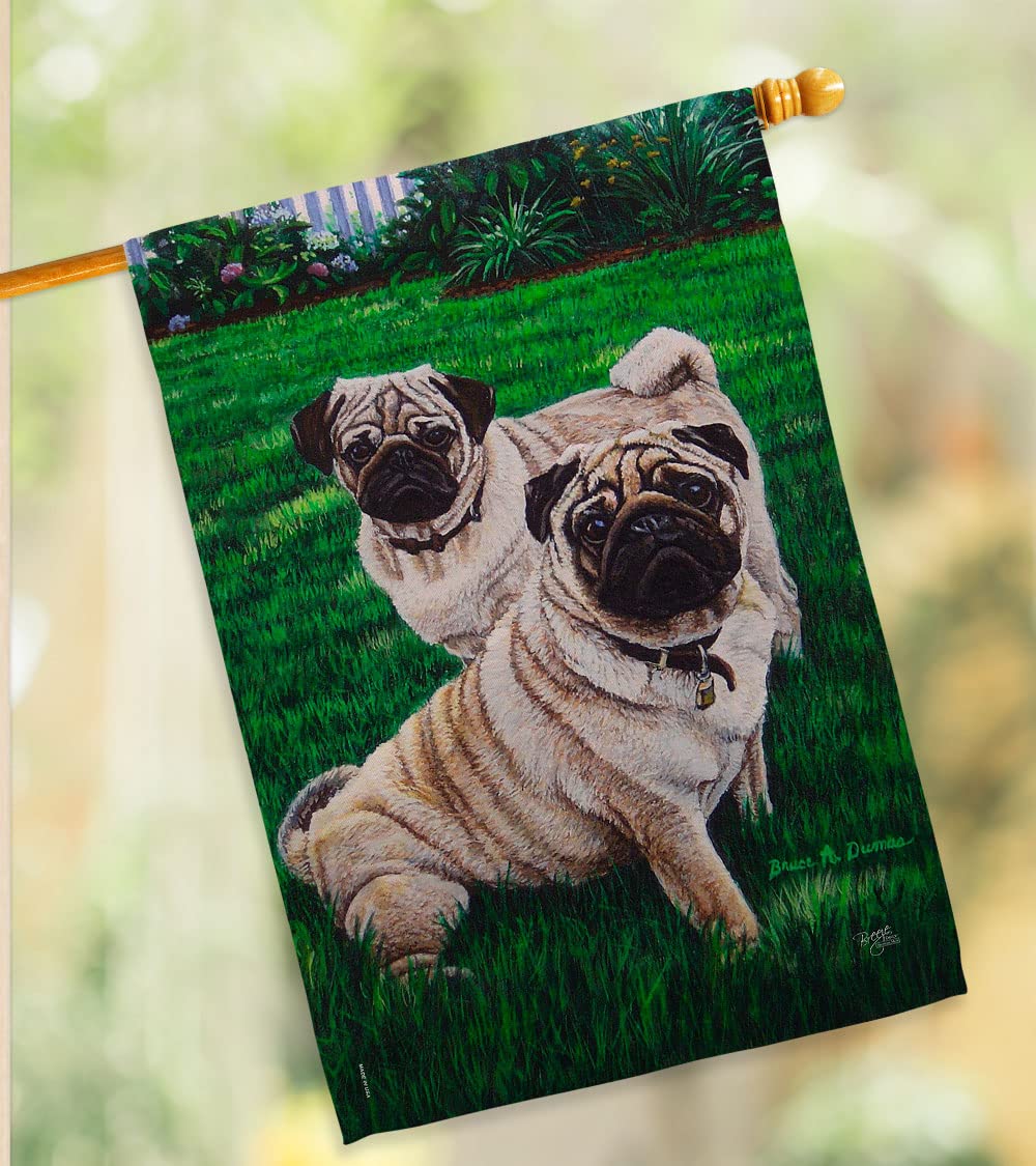 Pugs Love Nature House Flag Set 28x40 - Outdoor Pet Decor for Gardens