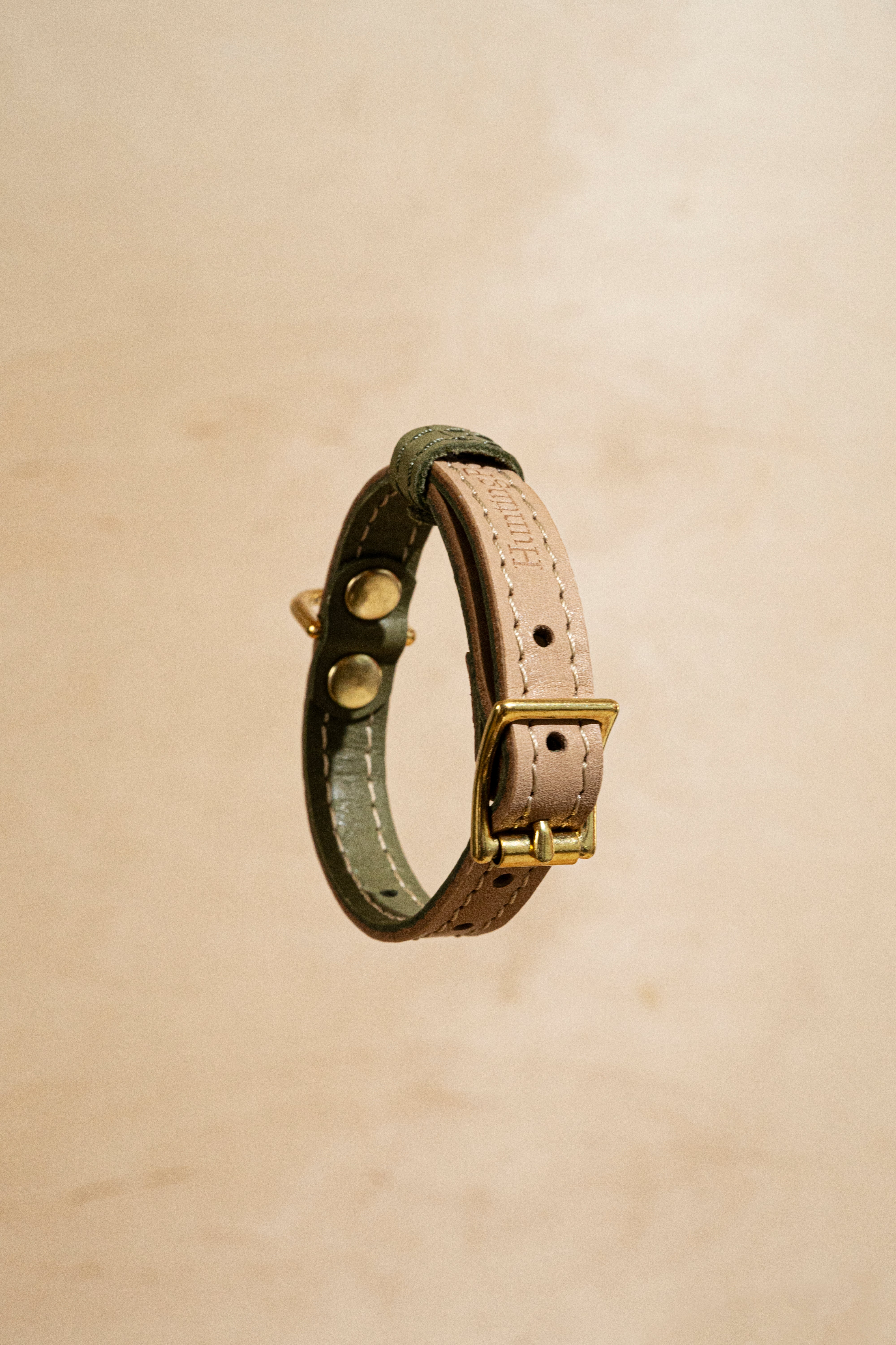 Stylish Green and Beige Collar Pony Walkony for Dogs - Perfect for Walking, Training & Outdoor Adventures