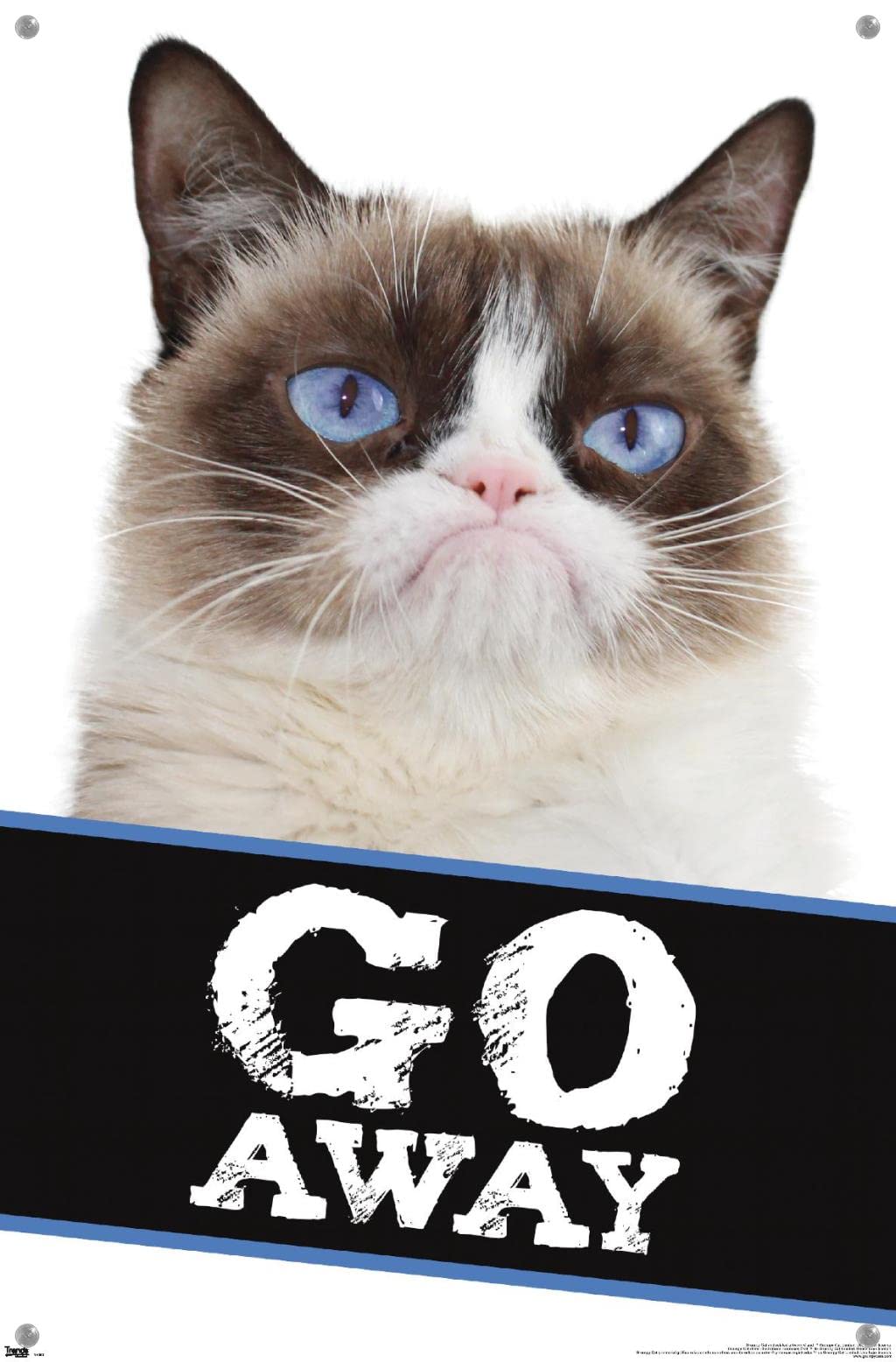 Grumpy Cat - Go Away Wall Poster with Push Pins | Funny Office Decor for Home & Work | Motivational Wall Art for Cat Lovers