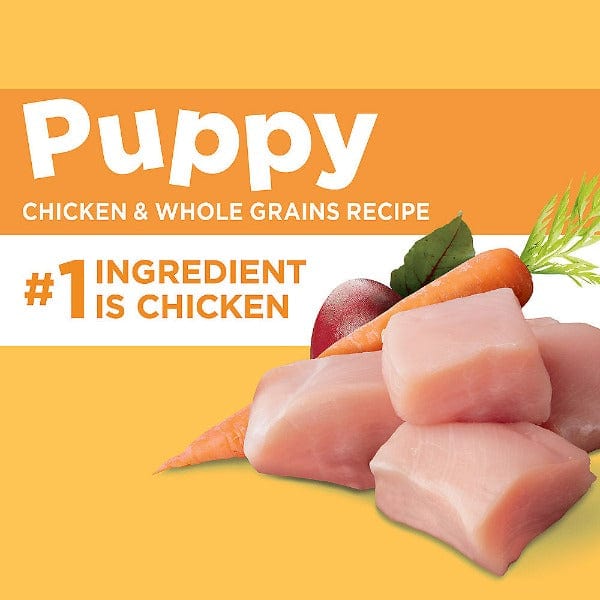 IAMS Proactive Health Puppy Dry Dog Food - 7lb Bag | High Protein Kibble for Puppy Growth & Development | Perfect for Small & Medium Breed Puppies at Home or Travel