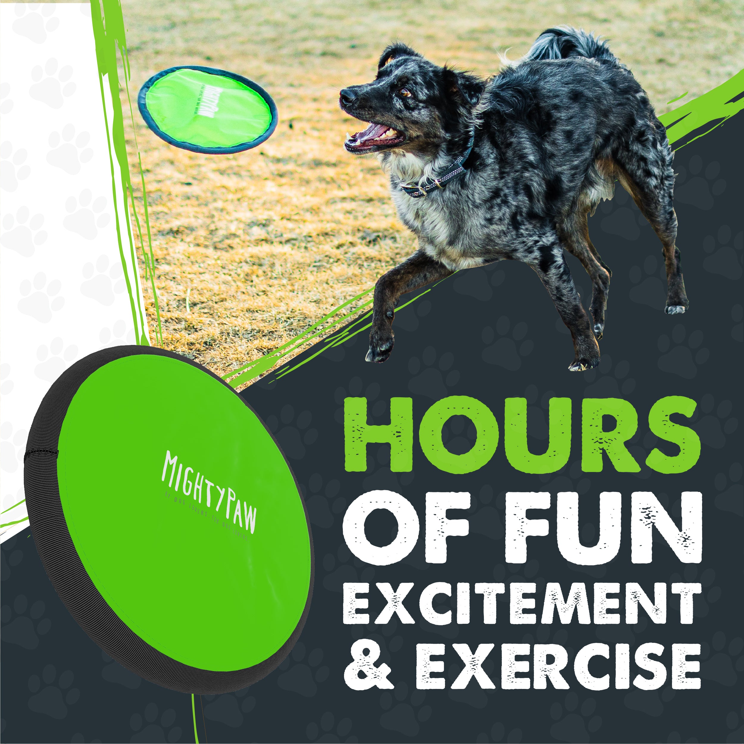 Durable Frisbee (2 Pack) - High-Quality Outdoor Flying Disc for Beach, Park, and Backyard Fun - Perfect for Dogs, Kids, and Family Activities