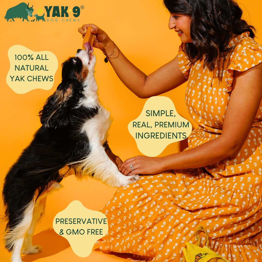 Natural Yak & Cow Milk Cheese Dog Chews - High Protein, Long Lasting Dog Treats with Vitamins & Minerals, Rawhide Free, Medium Size (1 PC) - Perfect for Training Rewards & Dental Health