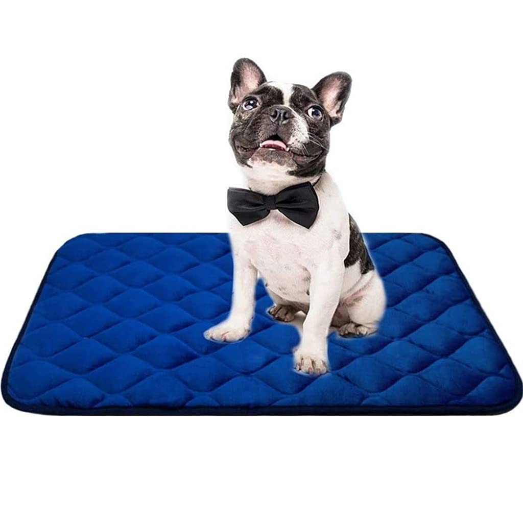 SLATIOM Soft Dog Bed Mat with Anti-Slip Bottom - Machine Washable Pet Crate Mattress for Large Dogs (61x46cm) - Comfortable Sleeping Pad for Kennel, Crate & Home Use - Color A, Size S