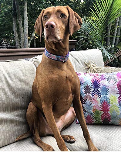 Pink Surfboards Dog Collar for Medium to Large Dogs - Handmade in USA - Durable & Stylish Pet Accessory for Beach, Pool & Outdoor Adventures