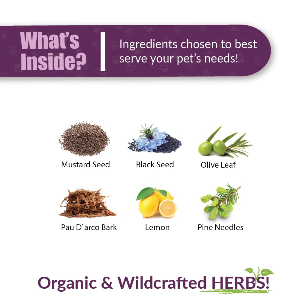 AMBER NATURALZ UTR Urinary Tract Herbal Supplement for Dogs, Cats, Birds, Guinea Pigs & Rabbits | Natural Pet Bladder Support | 4oz Glass Bottle | Made in USA | Supports Healthy Urinary Function for Small Pets