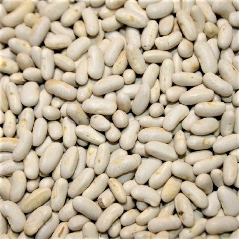Organic Blue Lake Heirloom Green Bean Seeds - Non-GMO, Delicious & Nutritious - 100 Count for Home Gardening, Vegetable Patches & Sustainable Farming