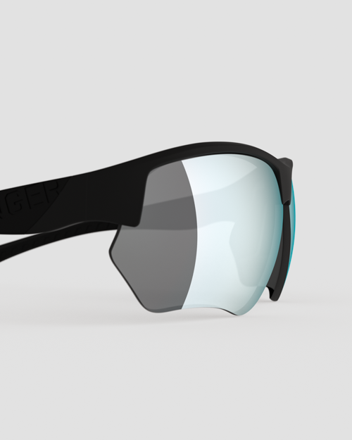 Eagle II Polarized Lens