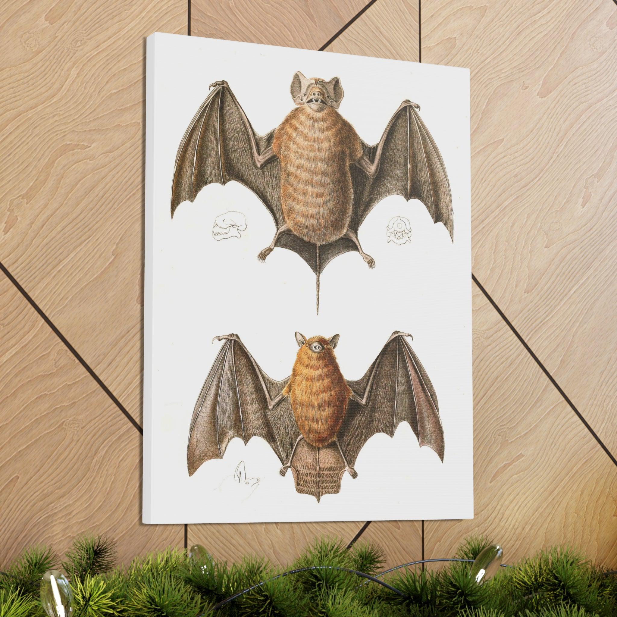 Free Tailed Bats Wall Art - Stunning Wildlife Illustration Canvas Print for Home & Office Decor - Perfect for Nature Lovers, Bat Enthusiasts, and Gothic Interior Design