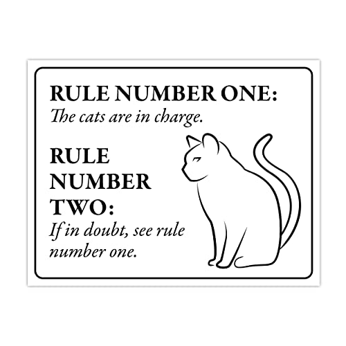 Cats in Charge (multiple cats)