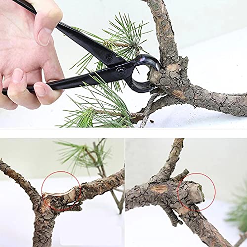 Premium 210mm Round Edge Bonsai Cutter - Multi-Function Branch & Knob Trimmer for Gardening, Pruning, and Shaping - Ideal for Beginners & Professionals | Perfect for Indoor Plants, Outdoor Gardens, and Bonsai Trees
