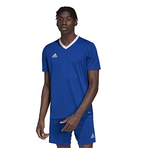 Team Royal Blue