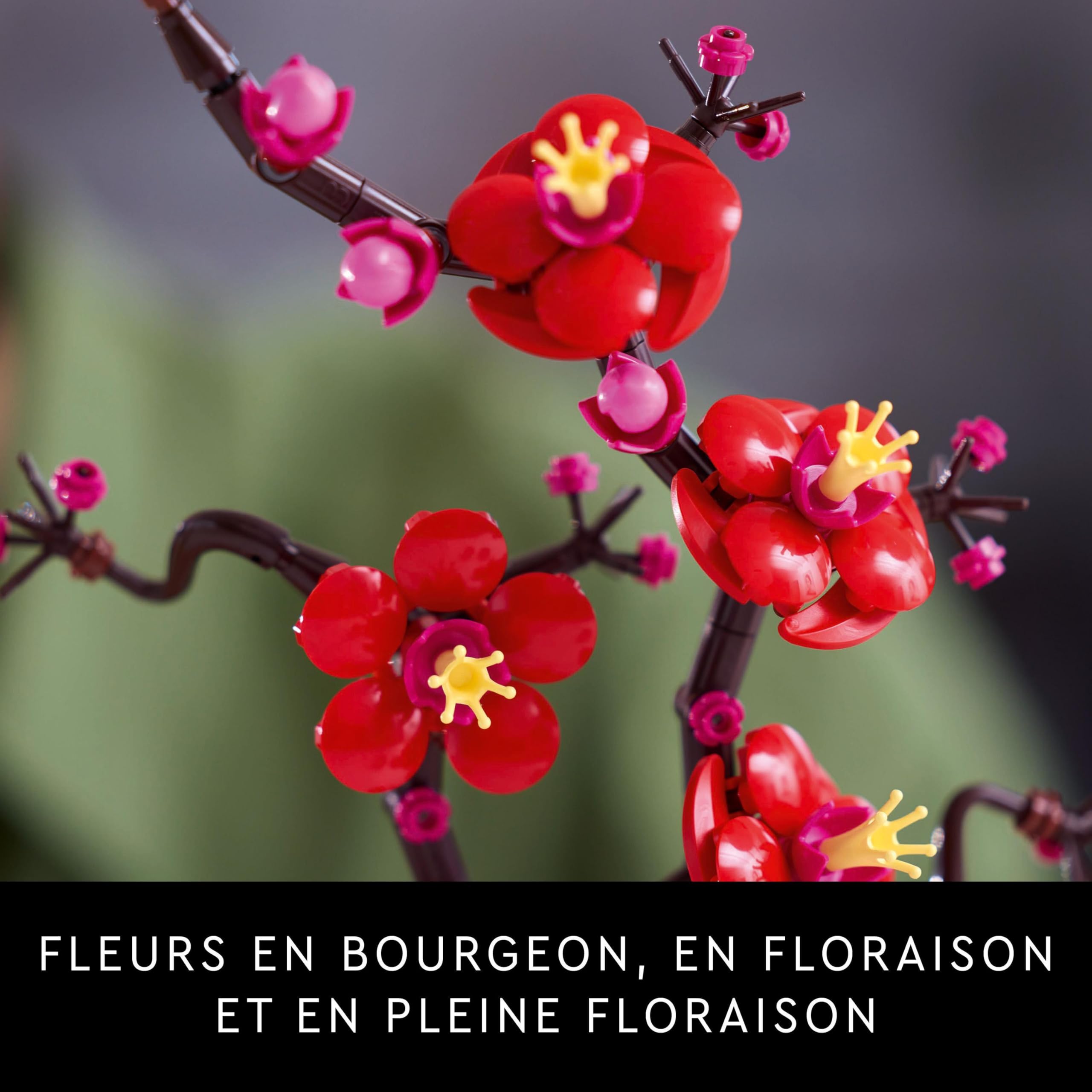 LEGO Botanicals Plum Flower Artificial Plant Set - DIY Building Kit for Adults - Home & Office Decoration - Relaxing Activity Gift for Women & Men (10369) | Perfect for Home Decor, Office Desk, and Stress Relief