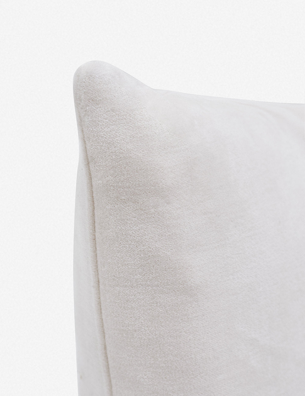 Charlotte Velvet Pillow - Soft Luxury Decorative Throw Pillow for Sofa, Bed & Couch - Perfect for Living Room, Bedroom & Home Decor