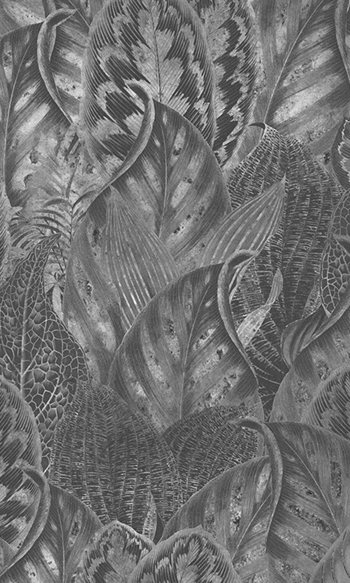 Charcoal Vibrant Leafy Collage Mural Wallpaper M2556 - Nature-Inspired Wall Decor for Living Room, Bedroom & Office