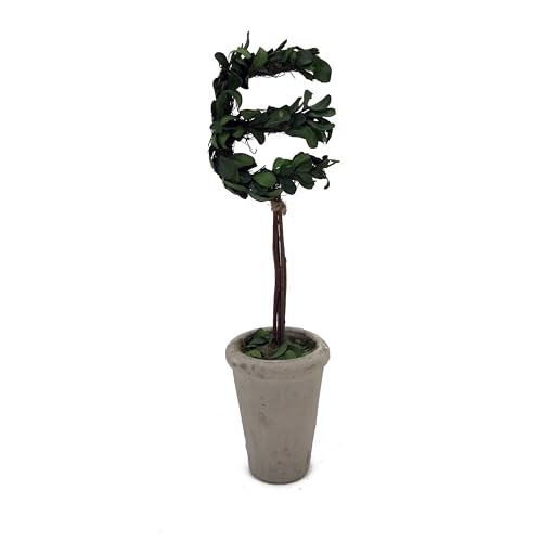 Forest Green E