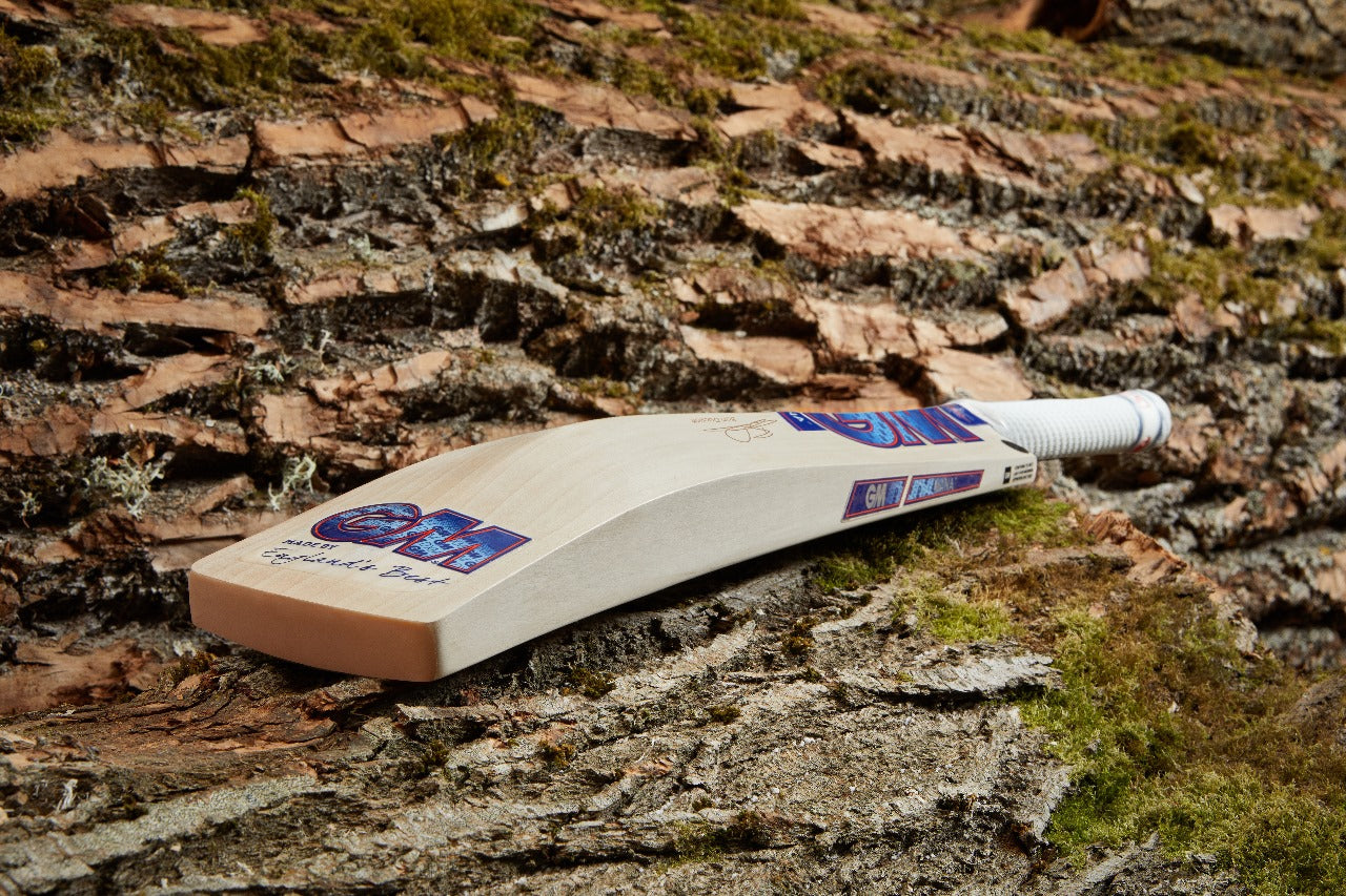 GM BEN DUCKETT Players Edition Cricket Bat 2025 - Premium English Willow Cricket Bat for Professional Players | Perfect for Tournament Matches & Practice Sessions
