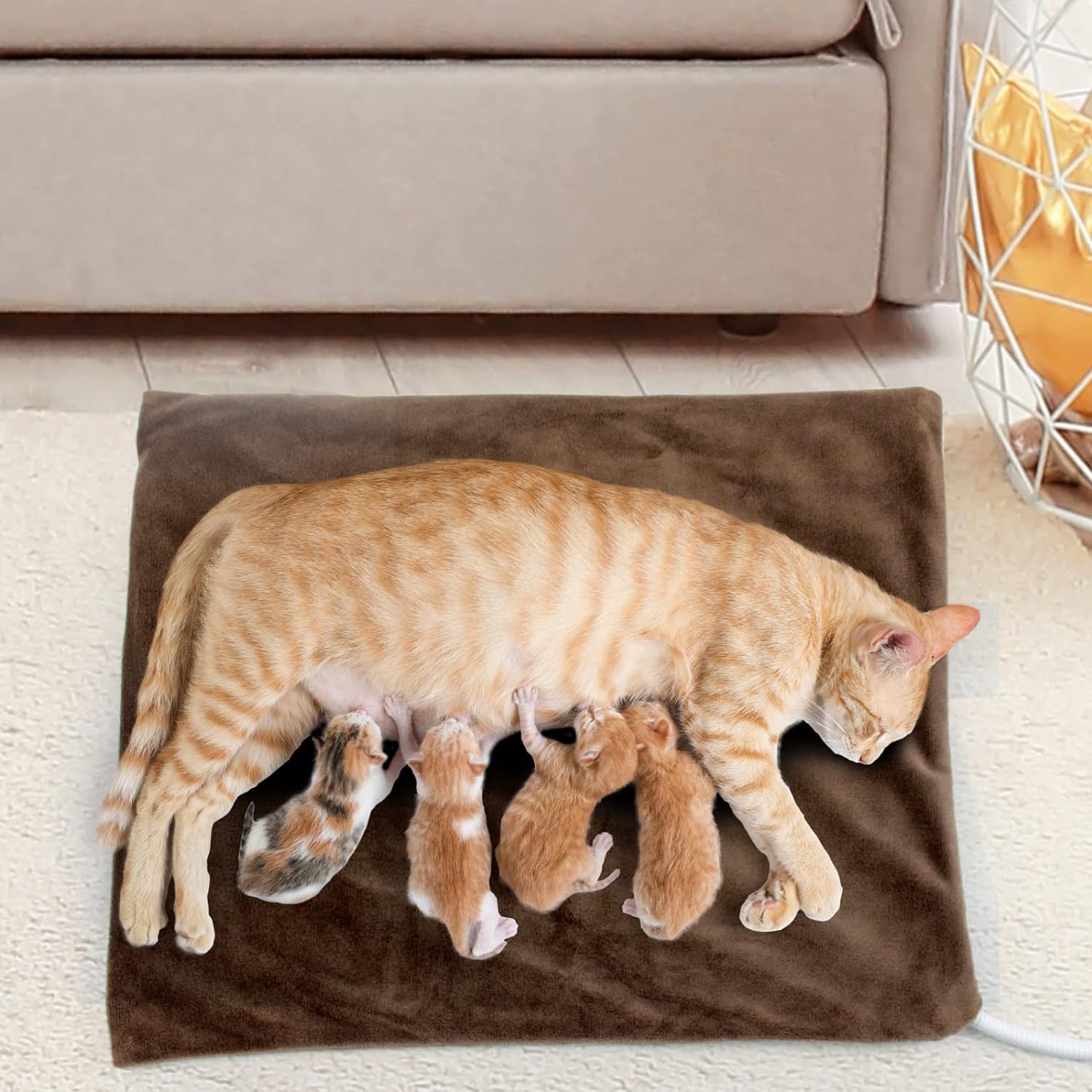 NAMOTEK Electric Pet Heating Pad for Dogs & Cats - 15.7