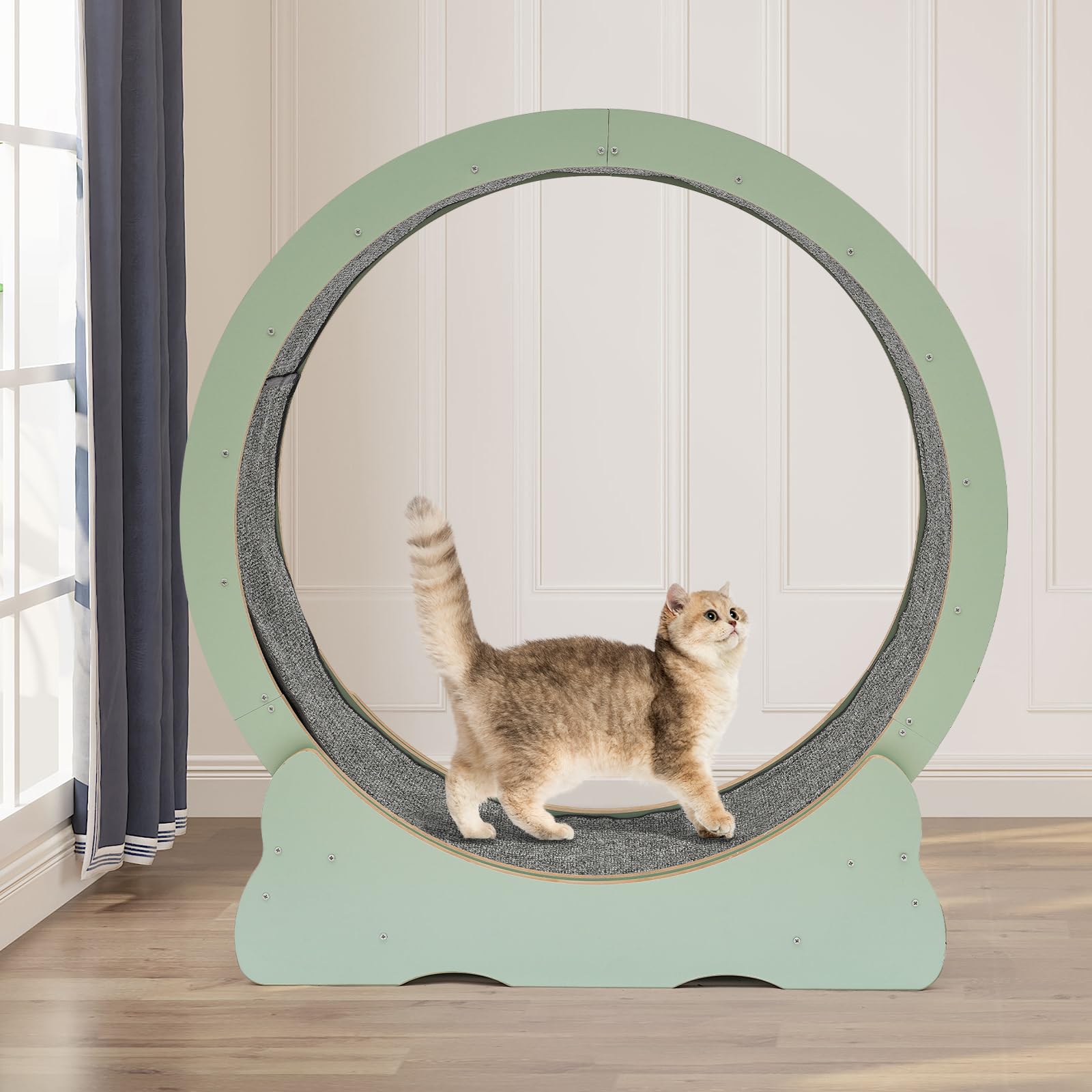 Premium Cat Exercise Wheel for Indoor Cats - Large Cat Running Wheel Treadmill for Weight Loss & Fitness - Durable Rotating Wheel for Home Use - Perfect for Playtime & Exercise (Green) - Ideal for Small Spaces & Active Cats