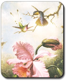Orchids & Hummingbirds Art Plate Mouse Pad - Non-Slip Rubber Base for Computer & Office Use - Perfect Gift for Home & Work Desk Accessories