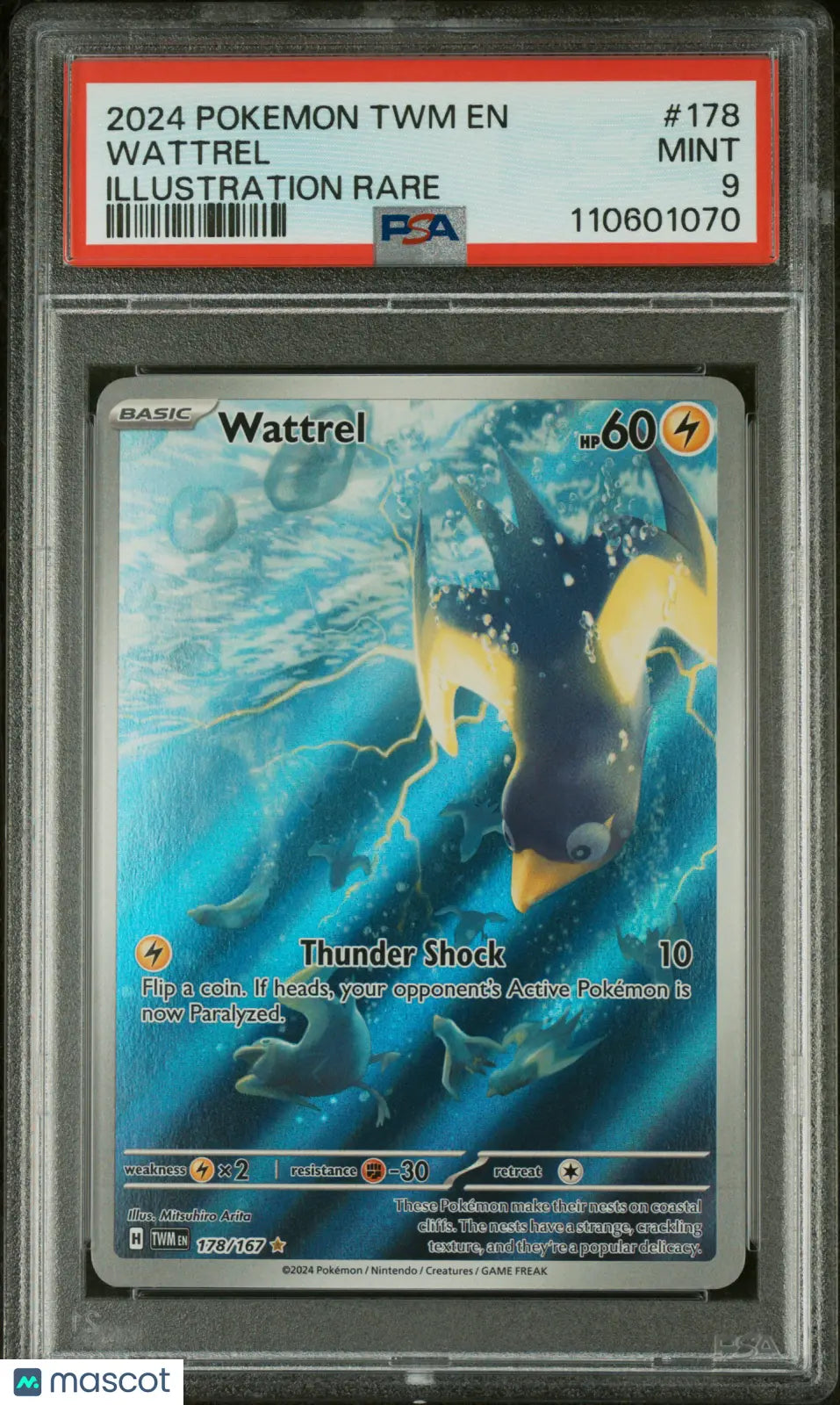 2024 Pokemon Twilight Masquerade Wattrel Illustration Rare PSA 9 178/167 - Collectible Trading Card for Pokemon Fans & Card Game Players
