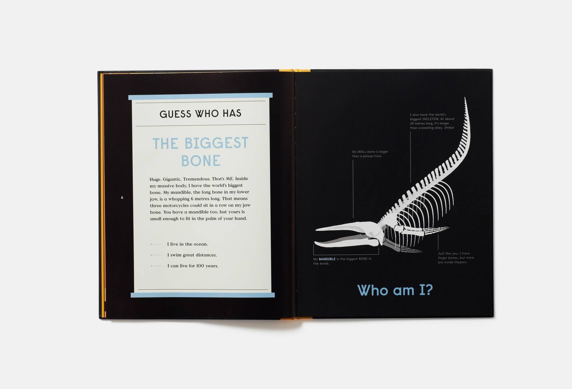 Book of Bones - Interactive Skeleton Anatomy Guide for Kids | Perfect for Halloween, Science Class & Educational Play
