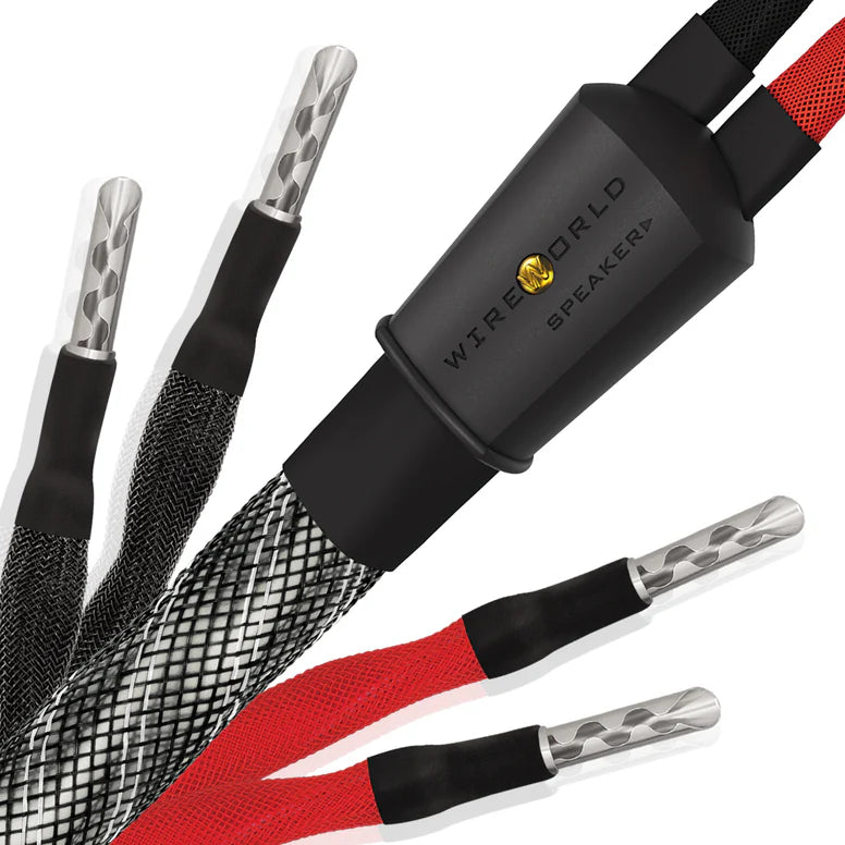 Premium Wireworld Platinum Eclipse™ 10 Speaker Cable - High-End Audio Cable for Home Theater & Hi-Fi Systems - Perfect for Surround Sound, Music Listening & Audiophile Setups