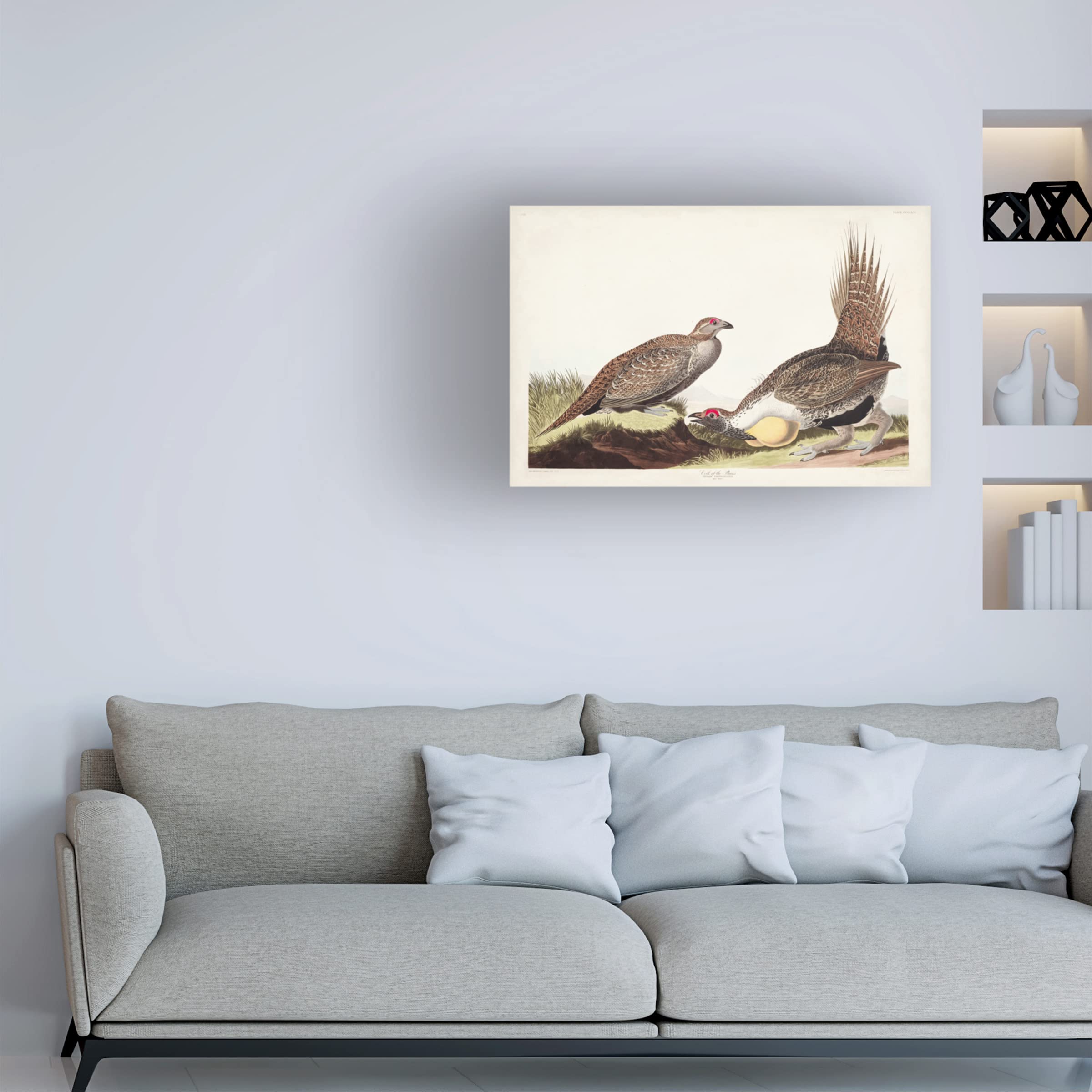 John James Audubon 'Cock of the Plains' 16x24 Canvas Art Print - Premium Wildlife Wall Decor for Living Room, Office & Hunting Lodge