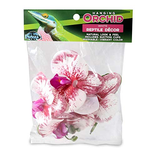 Pangea White Hanging Orchid for Reptile Terrarium Decor - Perfect for Vivarium, Gecko & Frog Habitat Enclosures