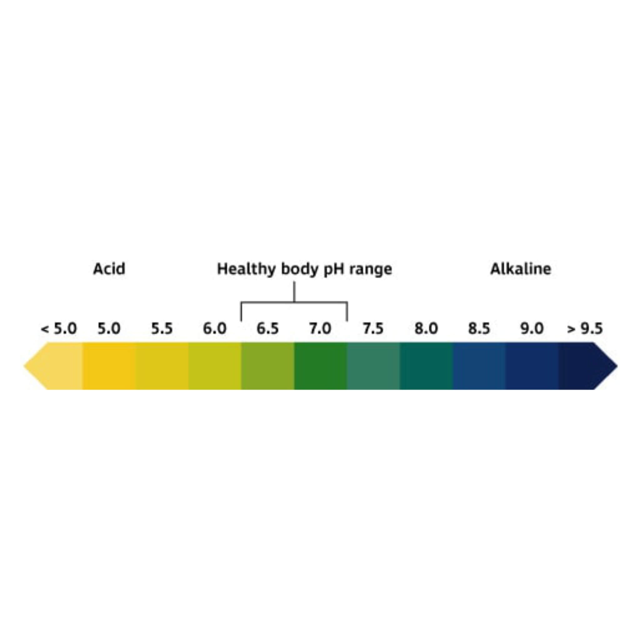 pH Test Strips for Water, Soil, Urine & Saliva - Accurate pH Level Testing for Home, Lab, Aquarium & Hydroponics | 100 Strips per Pack