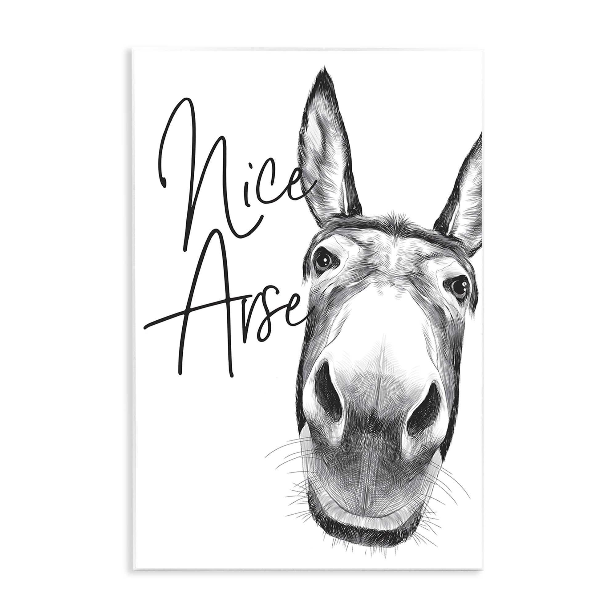 Stupell Industries Funny Donkey Wall Art - 'Nice Arse' Humorous Bathroom Decor | 13x19 Inch Framed Animal Phrase Sign | Perfect for Farmhouse, Country Style Bathrooms & Gift Ideas