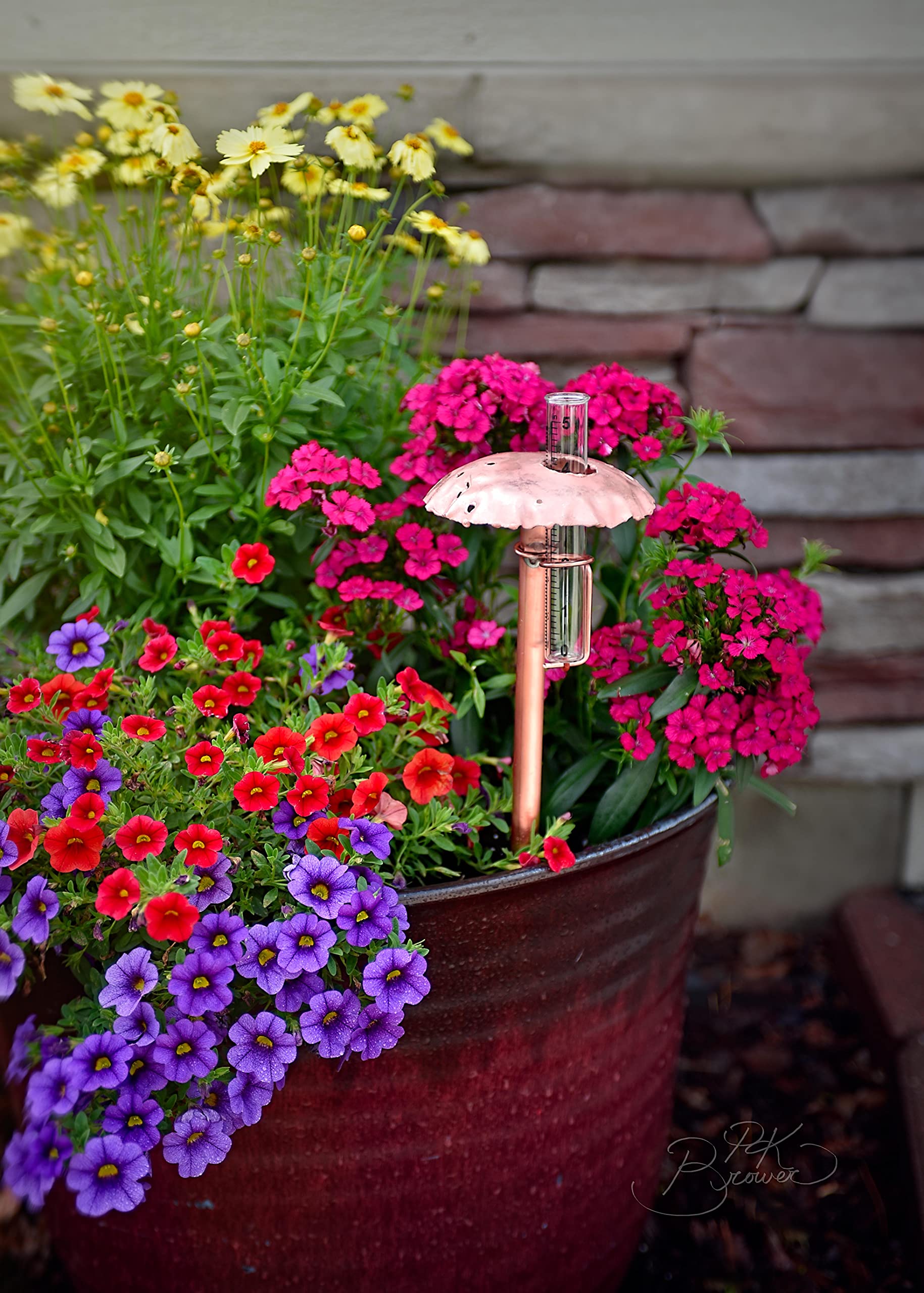 Accurate Copper Rain Gauge - Outdoor Weather Station Tool for Garden, Lawn & Farm Use - Measures Rainfall in Inches & Millimeters