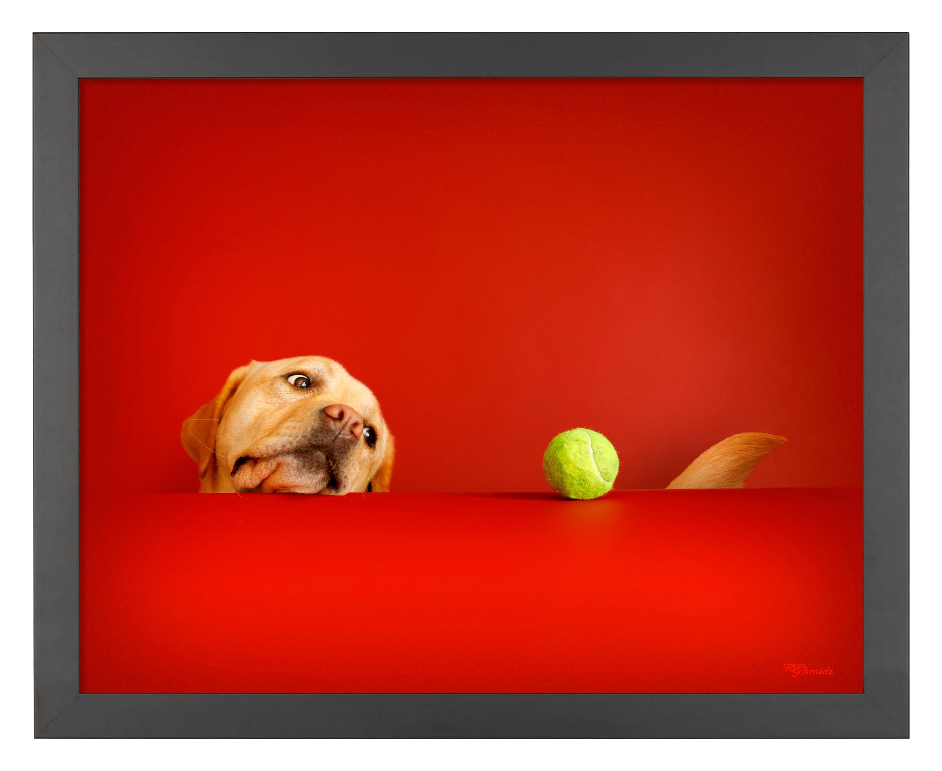 Crimson Art Prints - High-Quality Wall Decor for Home & Office | Perfect for Living Room, Bedroom & Gifts