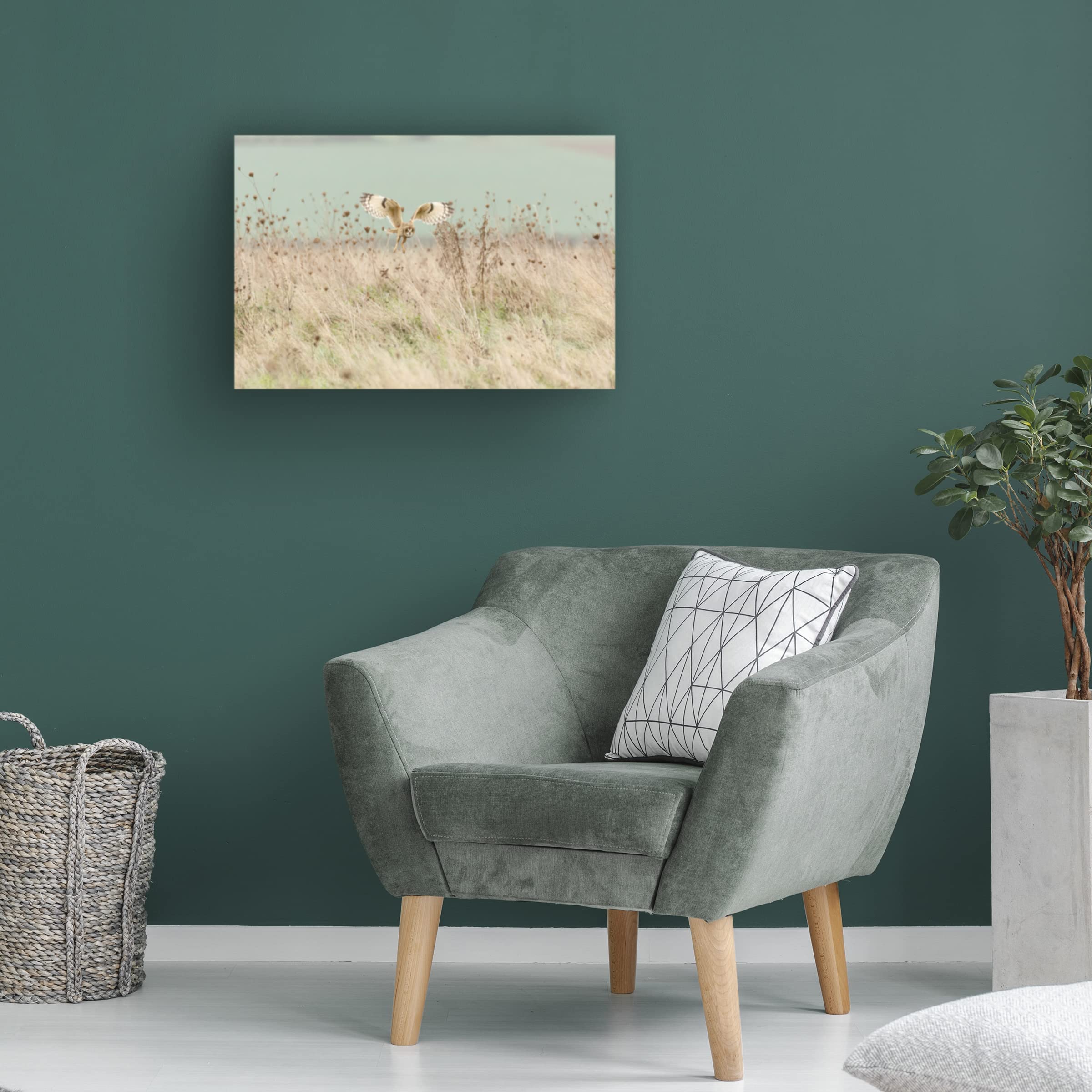 Trademark Fine Art 'Hunting Short Eared Owl' Canvas Wall Art Print by Prashant Meswani - Nature Wildlife Decor for Living Room, Bedroom & Office