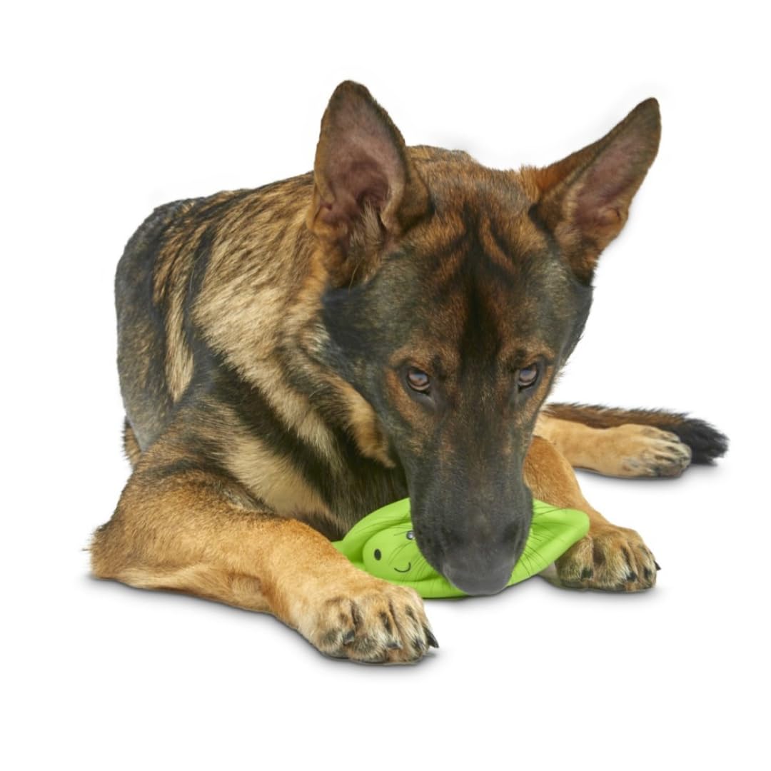 Premium Latex Pea Pod Dog Chew Toy - Large Size, Durable & Non-Toxic for Aggressive Chewers - Perfect for Playtime, Training & Dental Health (Green)