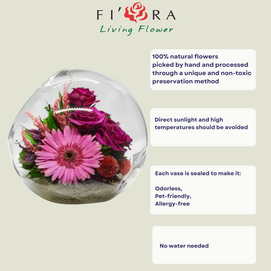 Fiora Flower | Real Preserved Roses & Orchids | Long-Lasting 5 Years | No Water Needed Home Decor | Allergy-Free & Odor-Resistant | Unique Gift for Anniversary, Wedding, Valentine's Day | Perfect for Centerpieces, Table Decor, and Romantic Gifts