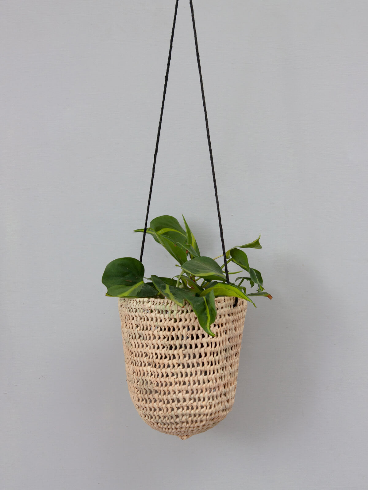 Black Open Weave Dome Hanging Baskets - Decorative Plant Holders for Indoor/Outdoor Gardens, Patios & Balconies