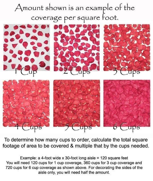 3600 Valentine's Red Rose Petals - 60 Cups Natural Fresh Bridal Rose Petals for Wedding Decor, Romantic Proposals & Anniversary Celebrations - Small to Medium Size Petals for Aisle, Table Scatter & Bath Decor