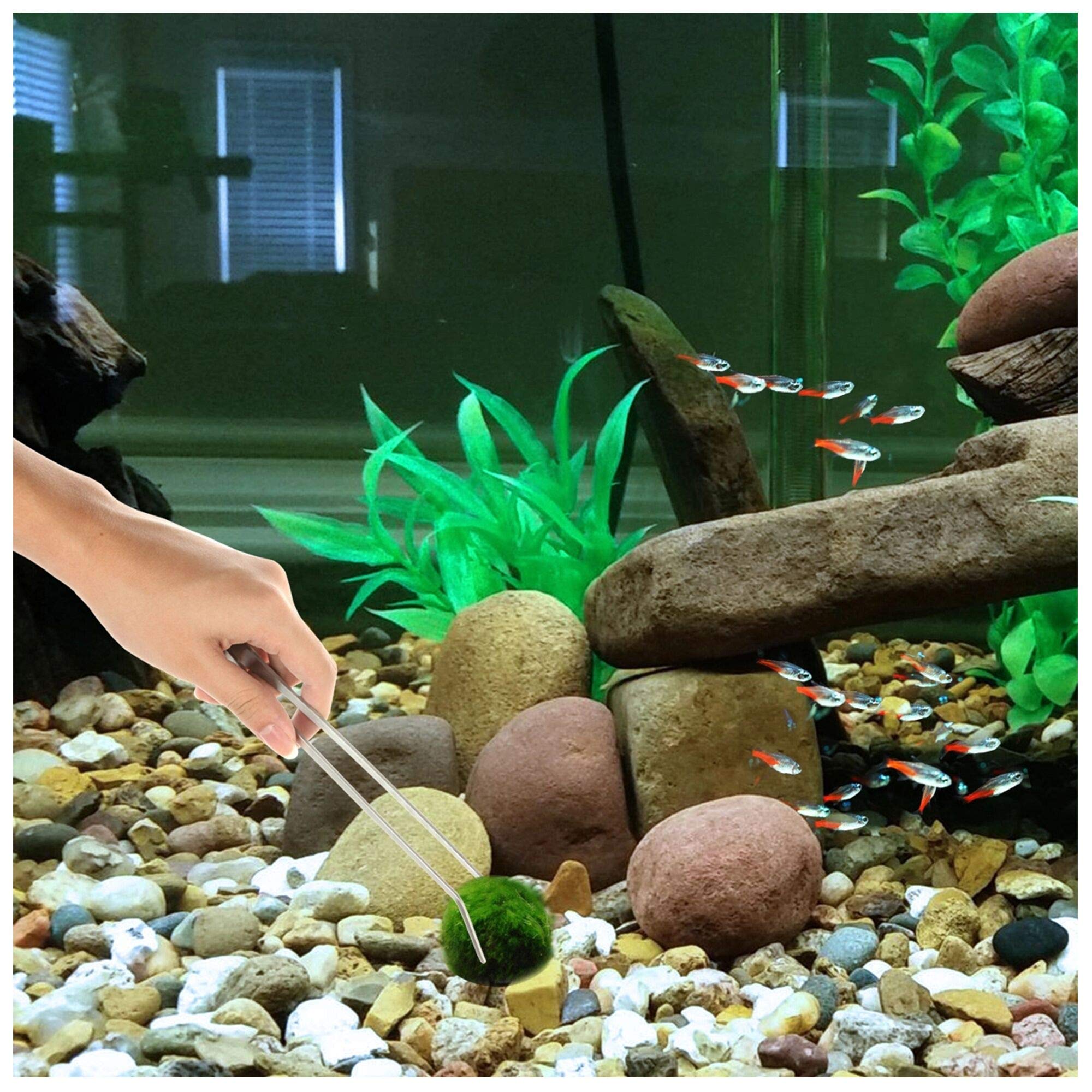 3 in 1 Stainless Steel Aquarium Tools Kit - Long Aquatic Plant Tweezers, Scissors & Aquascaping Tools for Fish Tank Maintenance | Perfect for Trimming, Planting & Aquascaping