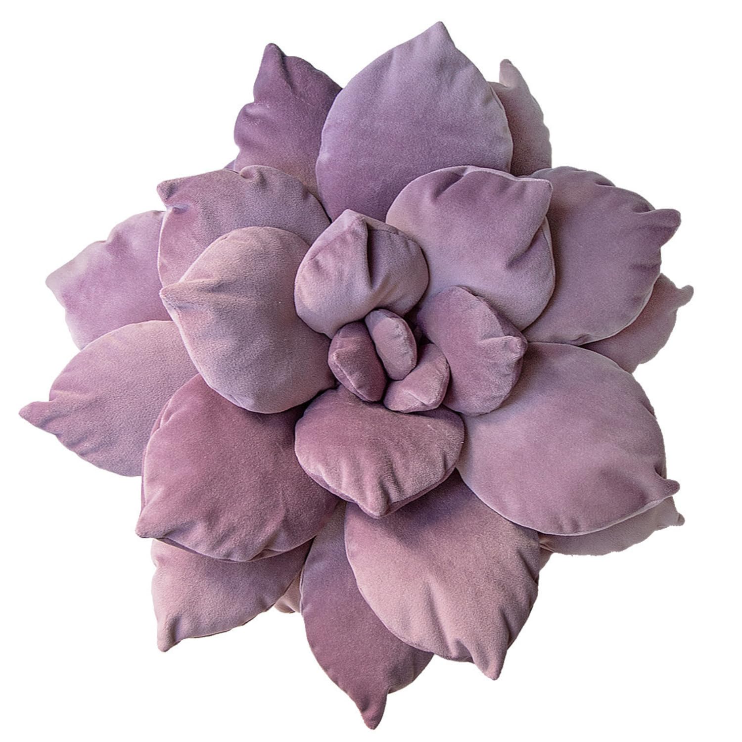 3D Large Succulent Pillow - 17