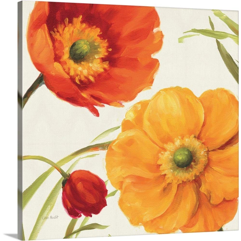 Poppies Melody II Canvas Wall Art Print by Lisa Audit - 24