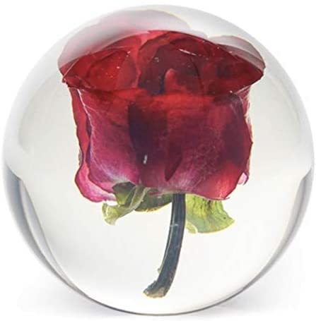 FloraCulture Red Rose Paperweight - Elegant Glass Decorative Paper Holder for Office Desk, Home Decor, and Gift Ideas