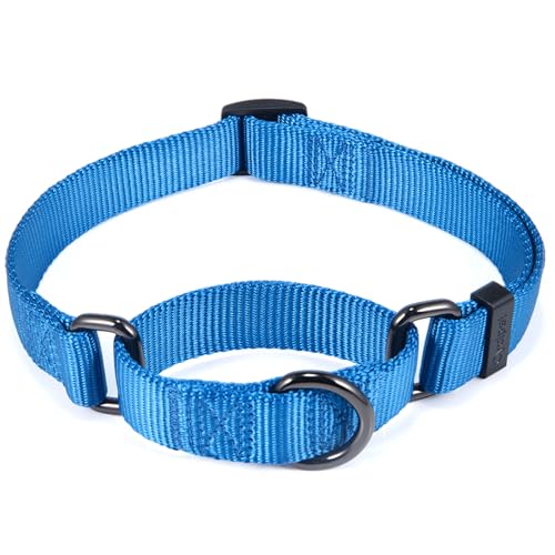 Classic Blue