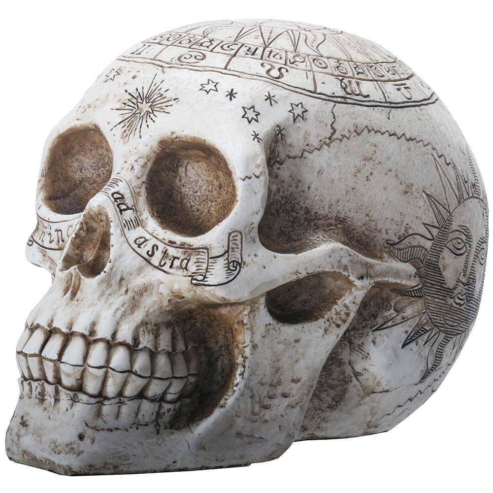 Solar Cartography Astrology Skull Relic Sculpture - Handmade Resin Figurine for Home Decor, Gothic Collectibles & Unique Gift Ideas